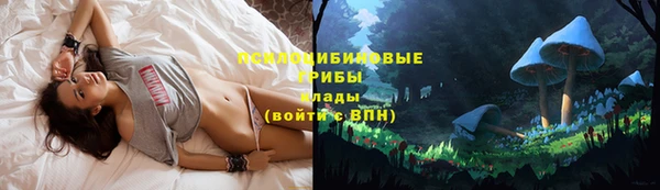 марки nbome Бородино