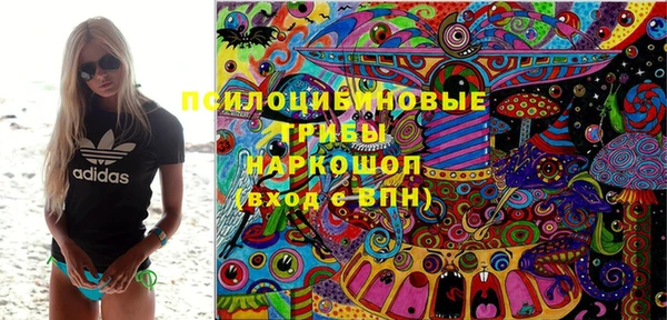 марки nbome Бородино