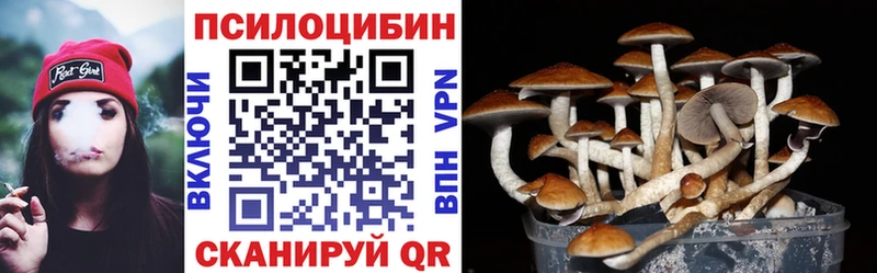 Псилоцибиновые грибы мухоморы  Сыктывкар 